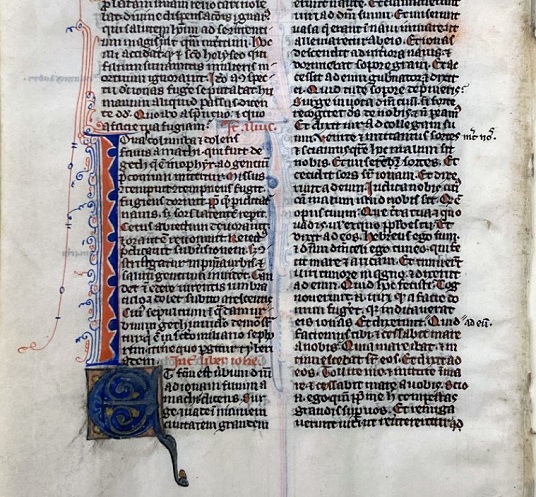 Manuscript bible leaf with illustrations