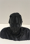 Photo of a bust sculpture of Steve Watson